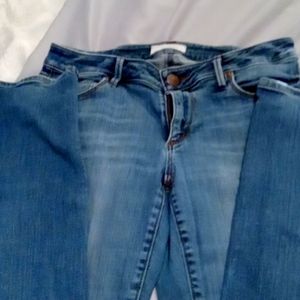Loft jeans, straight and curvy size 4